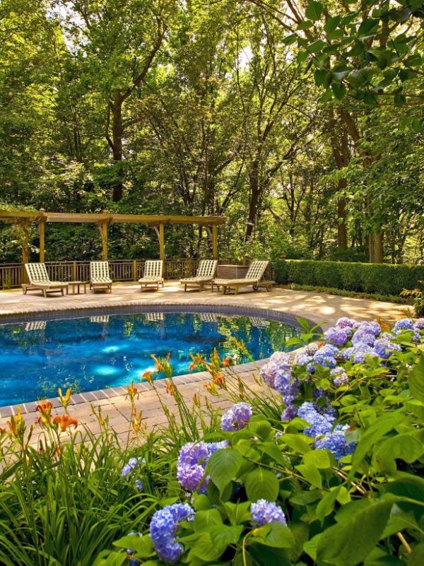 How to Create a Lush Oasis: Tips for Poolside Gardens and Planters