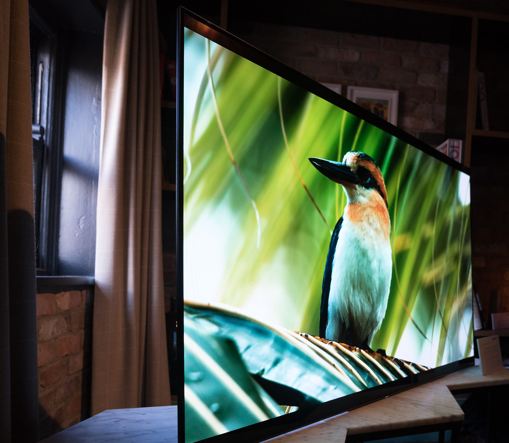 smart home launch