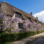 Somerset house prices